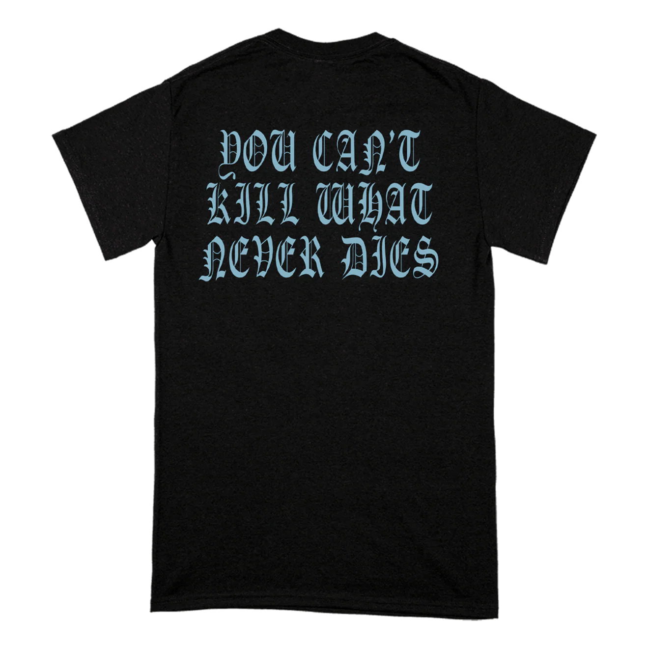 "Blue Fire Logo" T-Shirt - Image 4